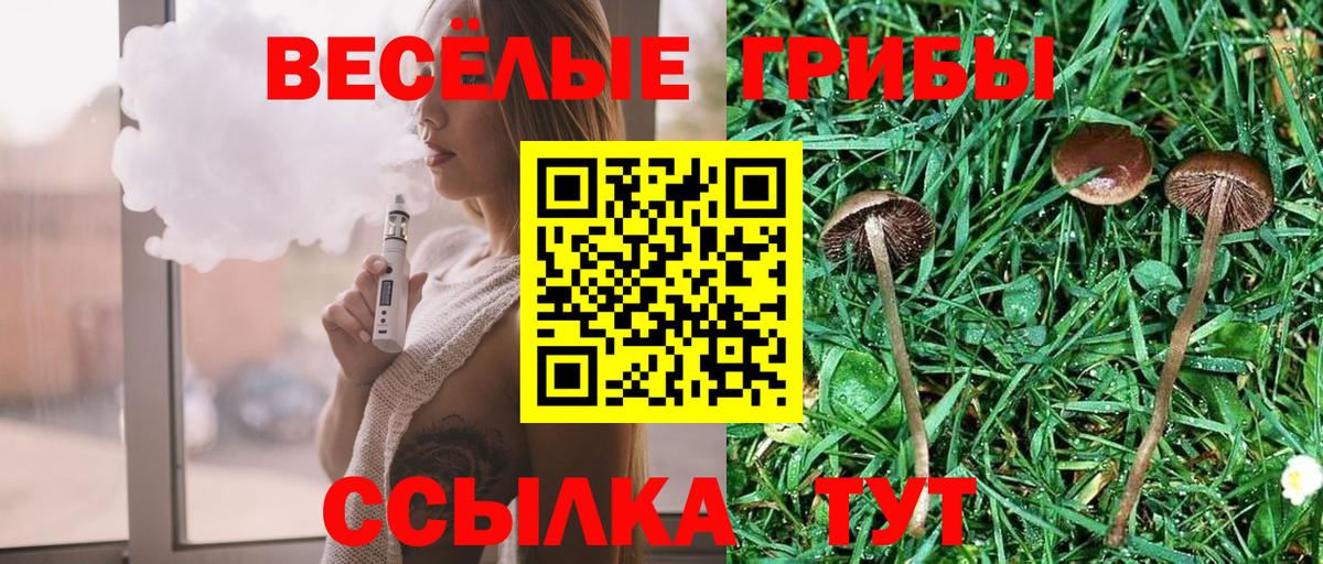 Галлюциногенные грибы Psilocybine cubensis  Вход с VPN  Псилоцибиновые грибы MAGIC MUSHROOMS  Череповец 