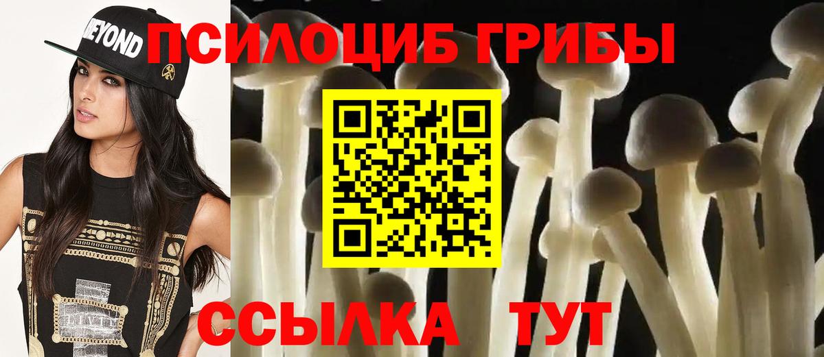 Галлюциногенные грибы мицелий Череповец